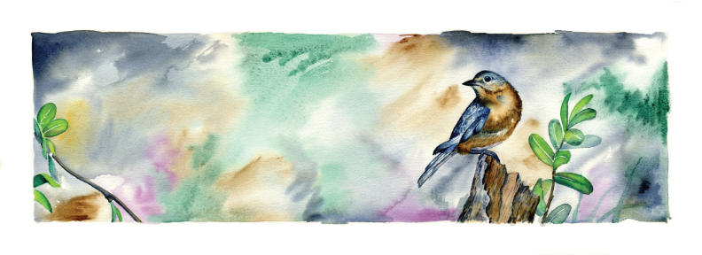 Bird Painting