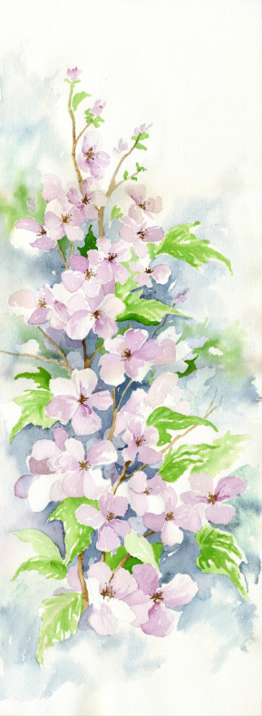 Flowers Watercolour
